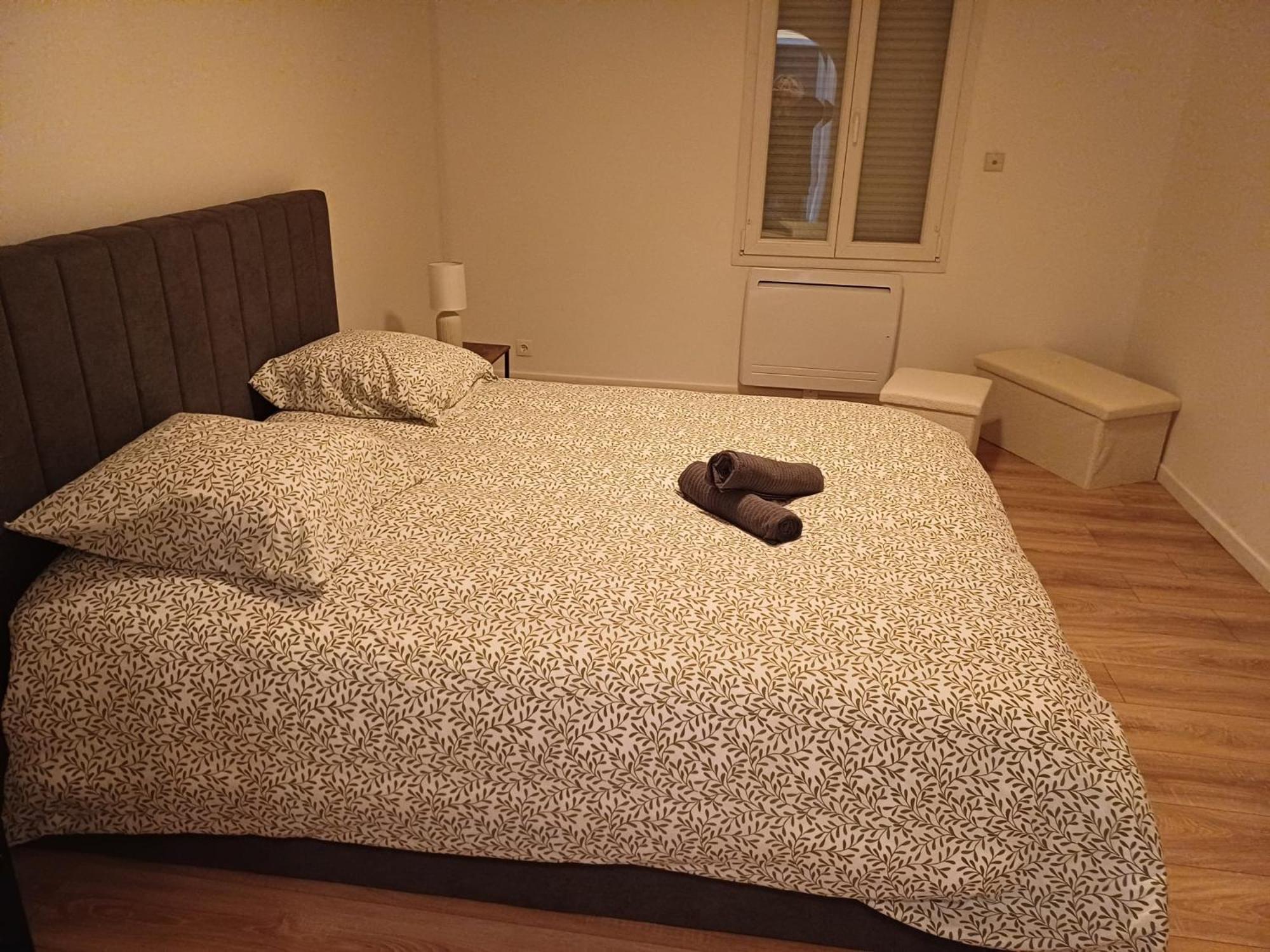 Maison Cosy A サン・ディジエ エクステリア 写真